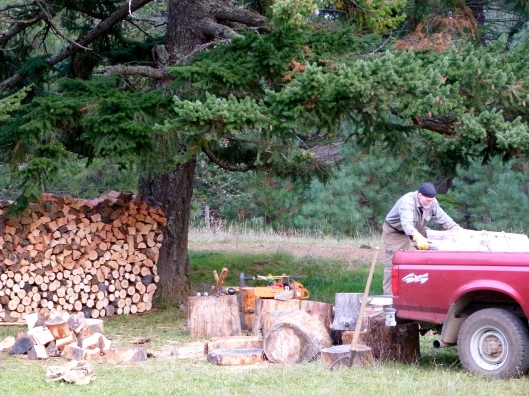 Gary unloads large stumps he'd wrestled onto the truck, and prepares to split and stack the wood.